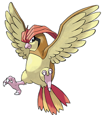 Pidgeotto